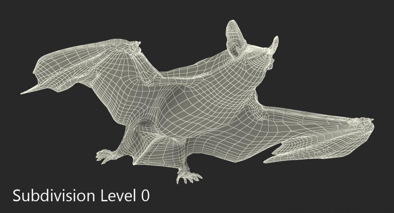 3D Flying Bat 2 with Fur