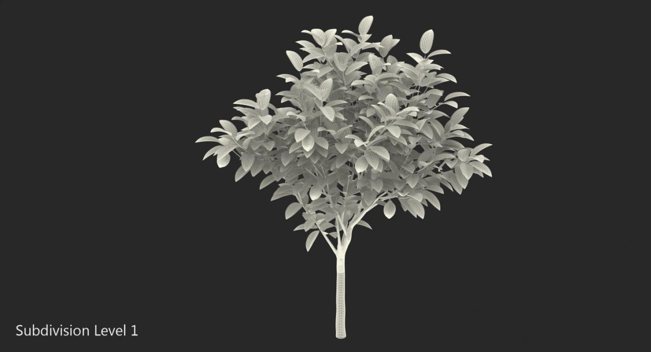 3D Small Lemon Tree