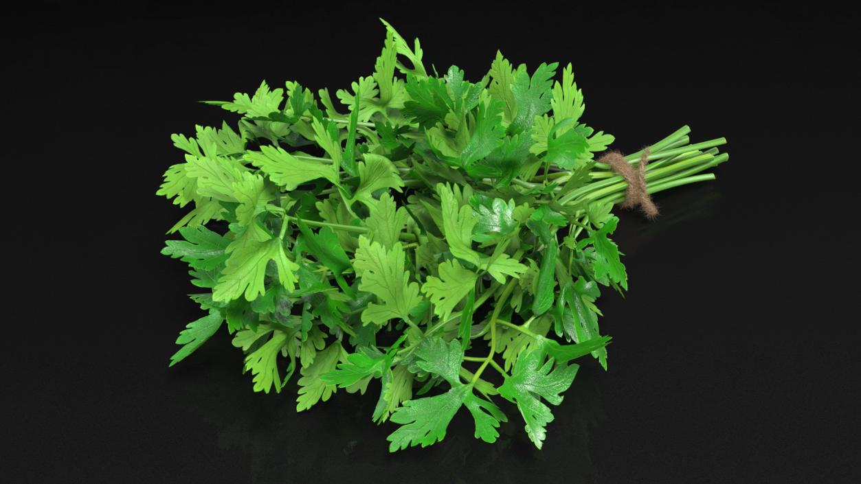 Bunch of Parsley Bandaged Fur 3D model