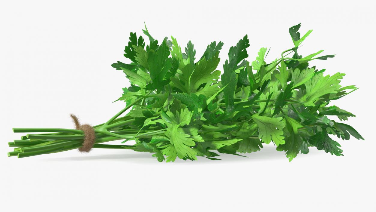 Bunch of Parsley Bandaged Fur 3D model