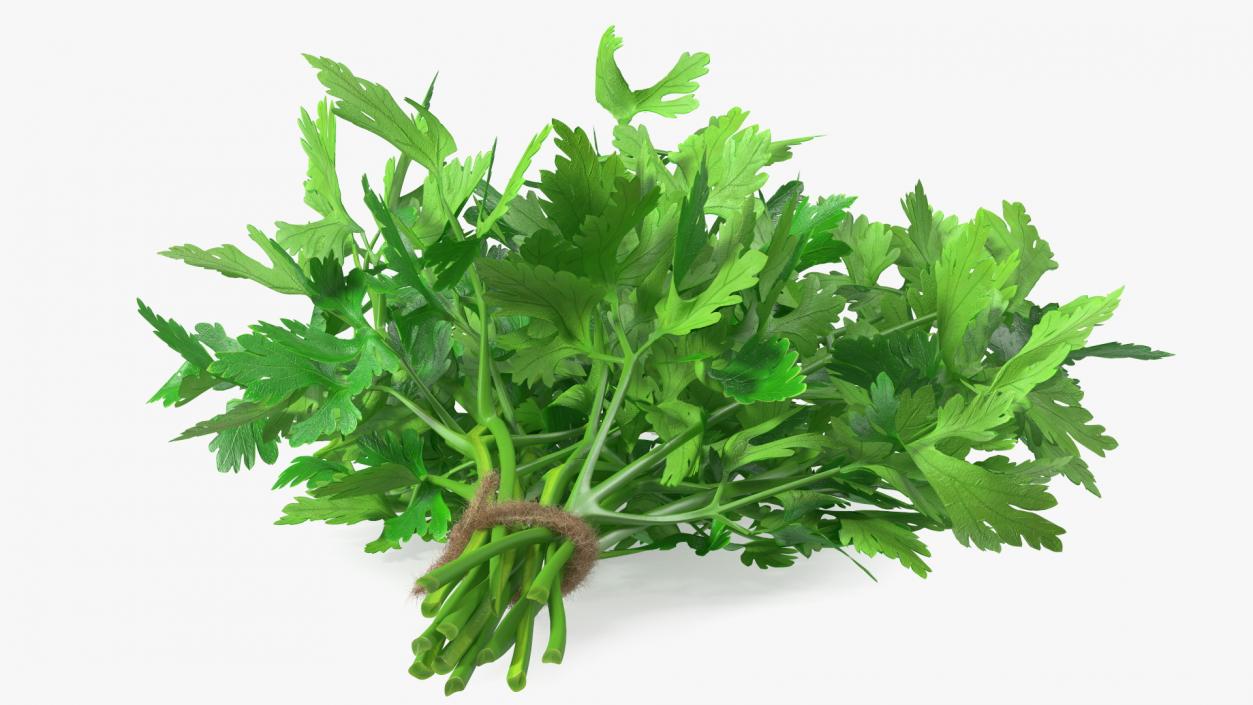 Bunch of Parsley Bandaged Fur 3D model