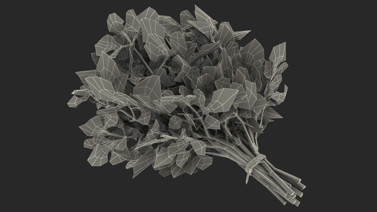 Bunch of Parsley Bandaged Fur 3D model