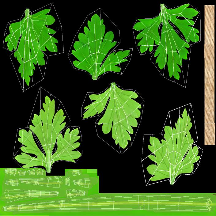 Bunch of Parsley Bandaged Fur 3D model