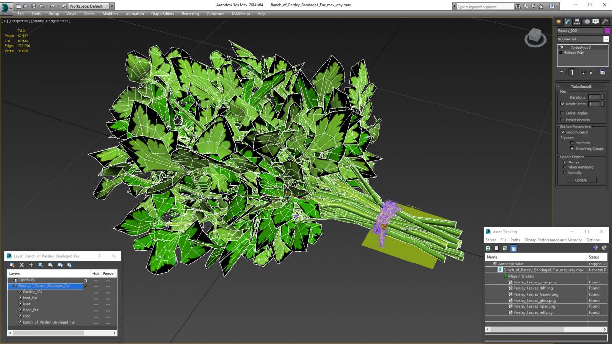 Bunch of Parsley Bandaged Fur 3D model