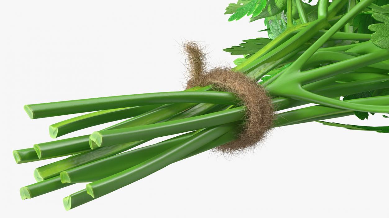 Bunch of Parsley Bandaged Fur 3D model