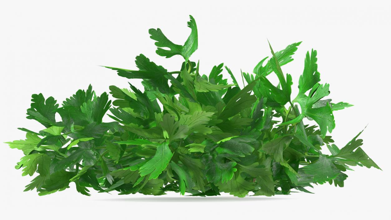 Bunch of Parsley Bandaged Fur 3D model