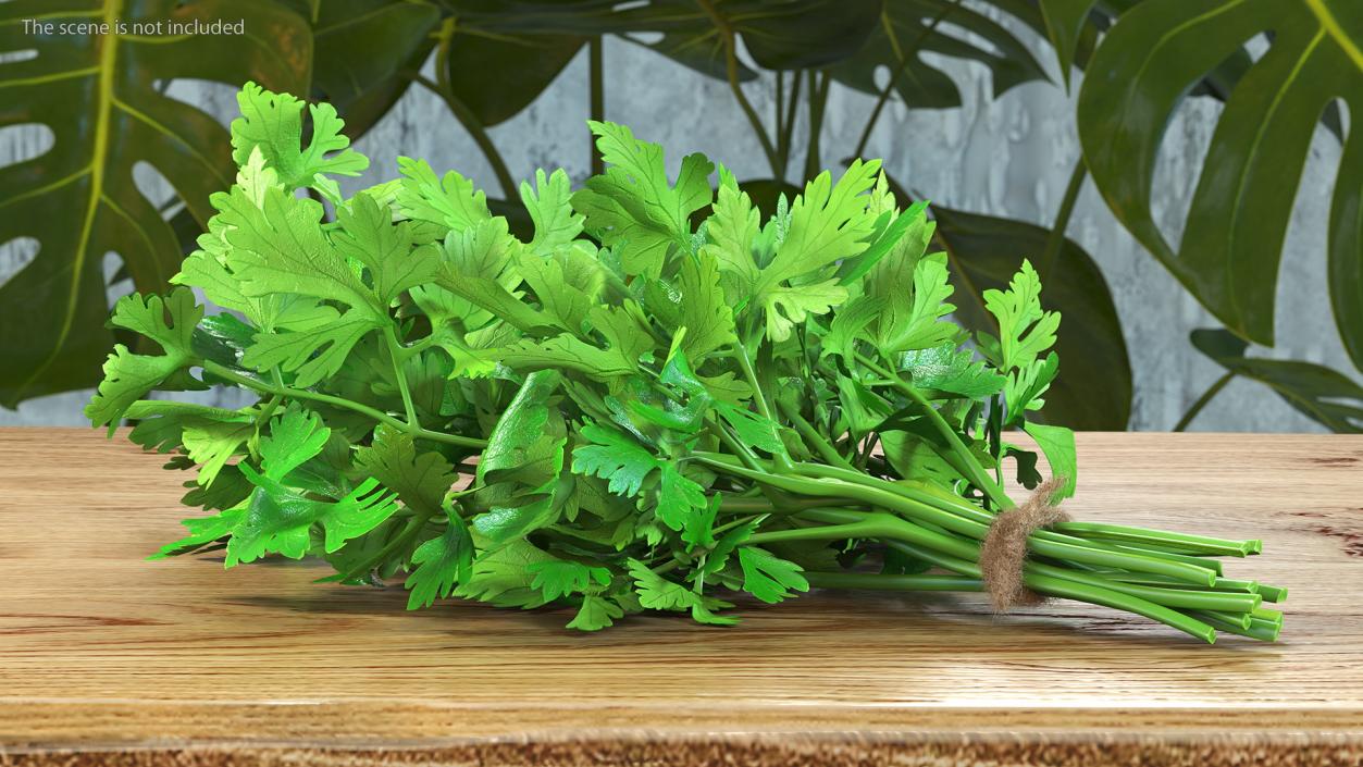 Bunch of Parsley Bandaged Fur 3D model