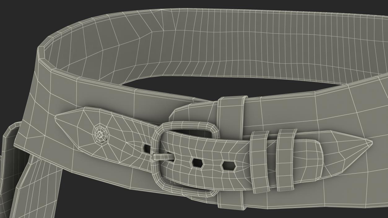 3D Leather Double Gun Belt model