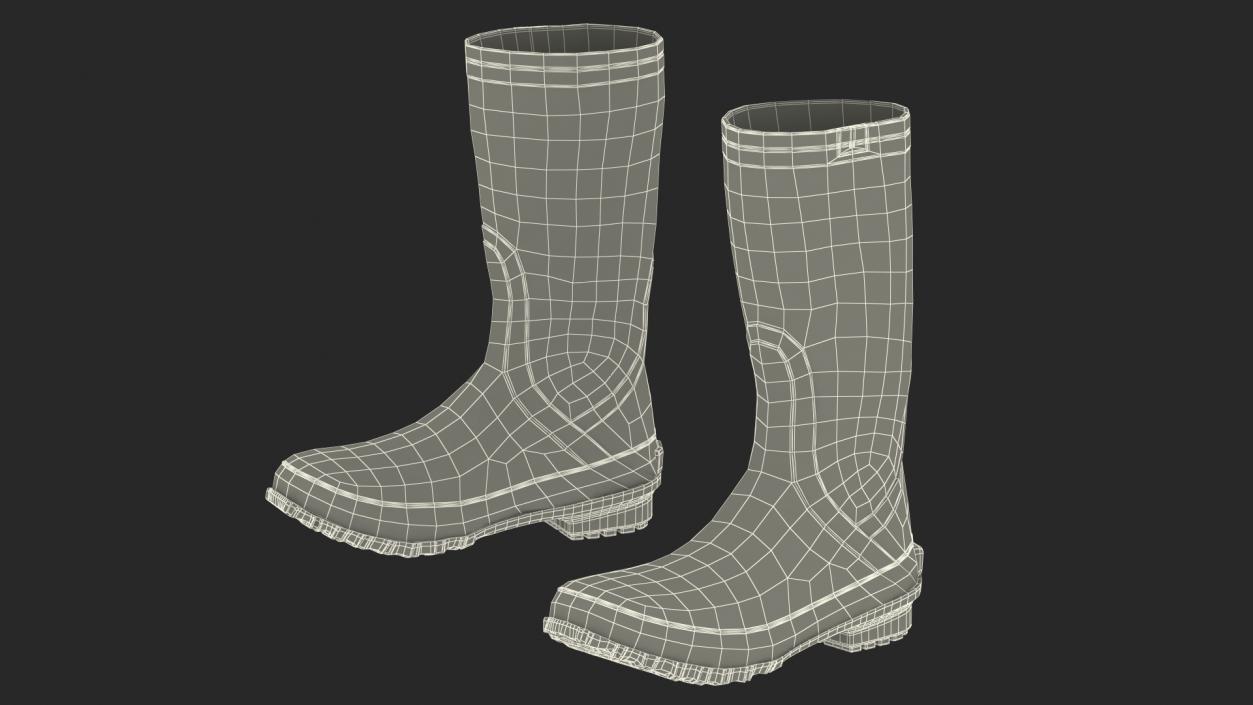 3D Waterproof Rubber Boots model