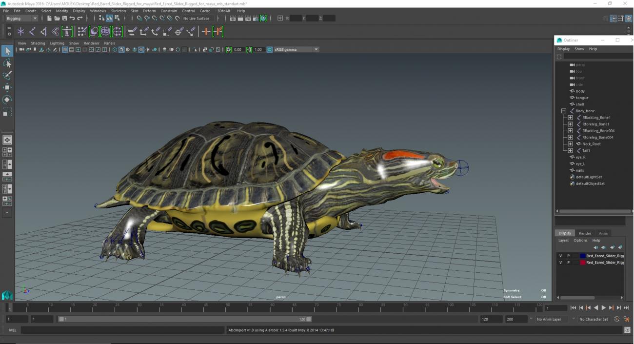 Red Eared Slider Rigged for Maya 3D