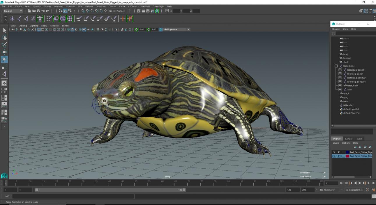 Red Eared Slider Rigged for Maya 3D