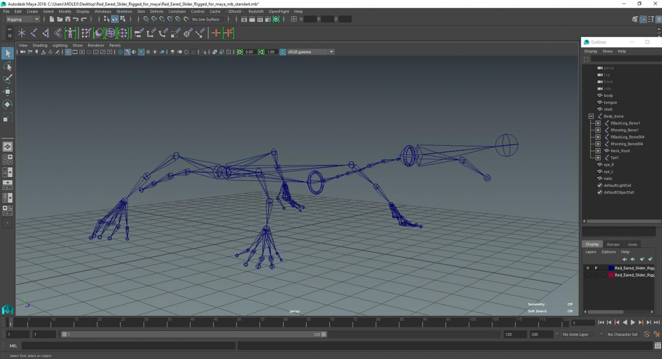 Red Eared Slider Rigged for Maya 3D