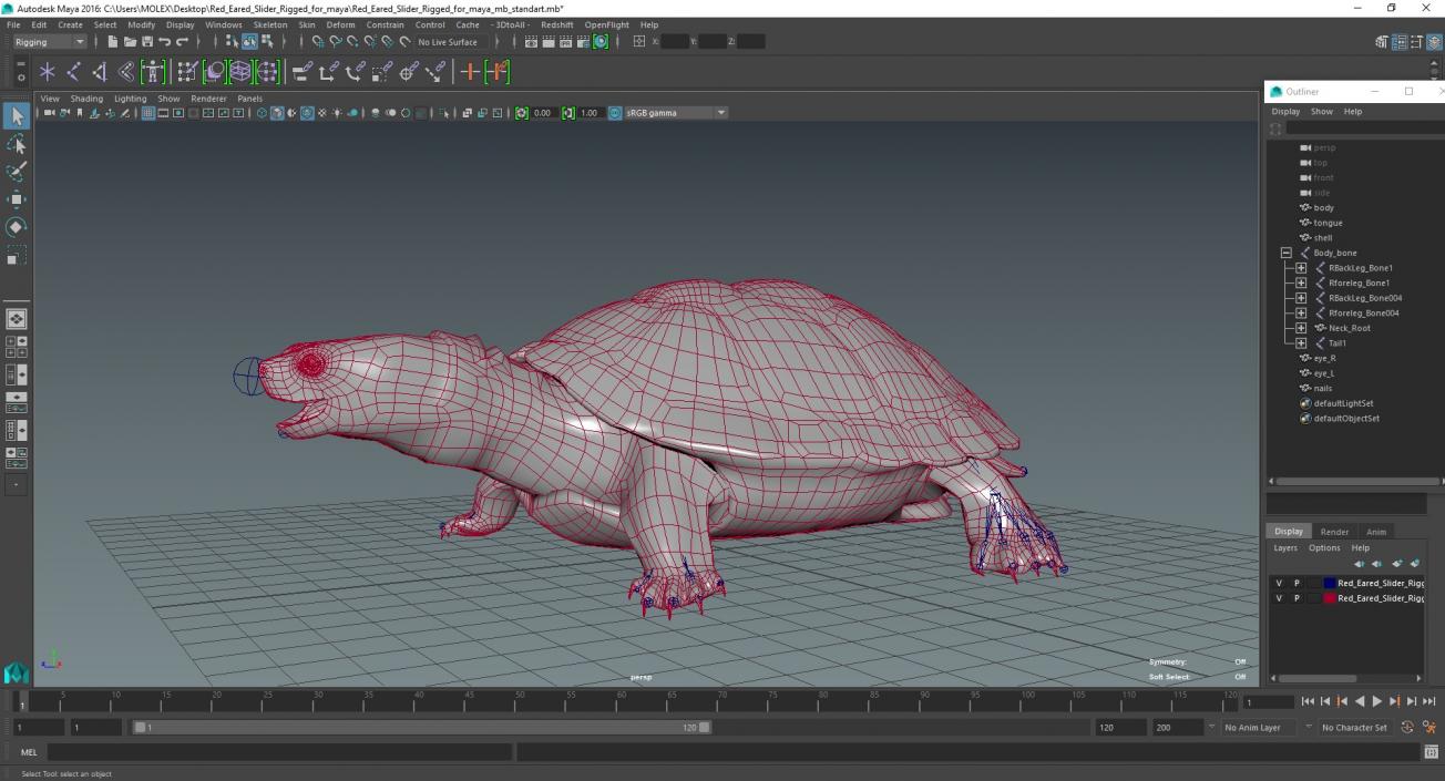 Red Eared Slider Rigged for Maya 3D