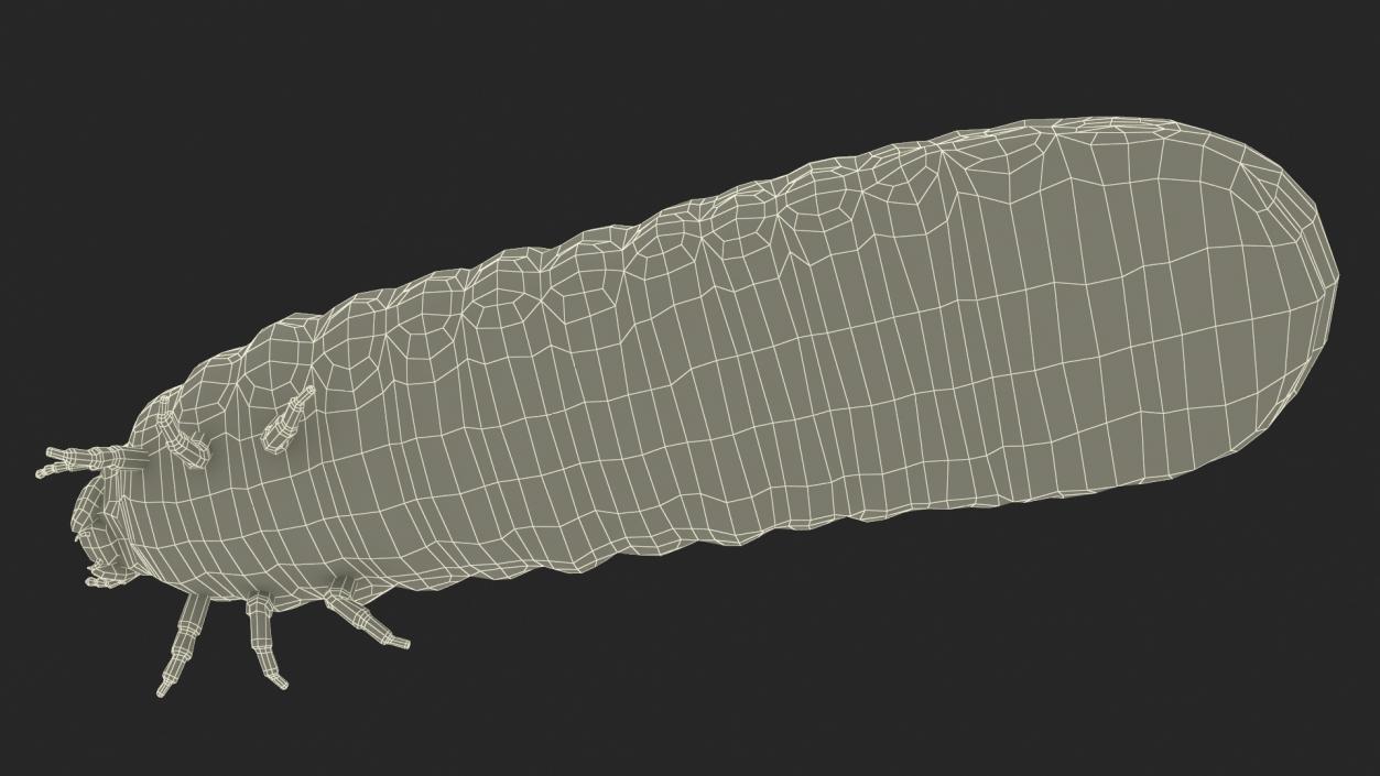 3D Maggot May Bug Fur model