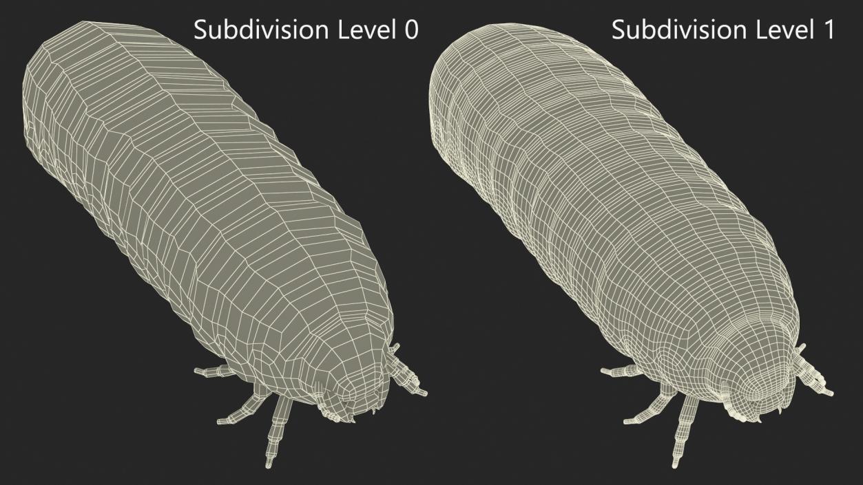 3D Maggot May Bug Fur model