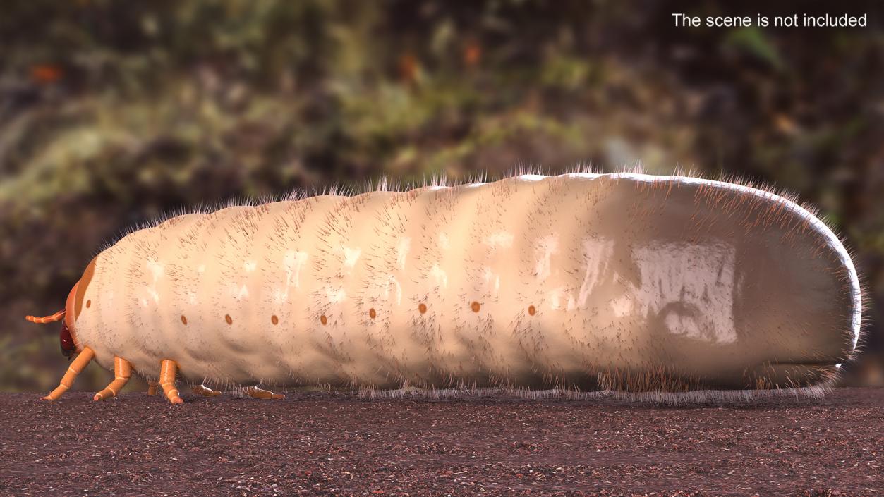 3D Maggot May Bug Fur model