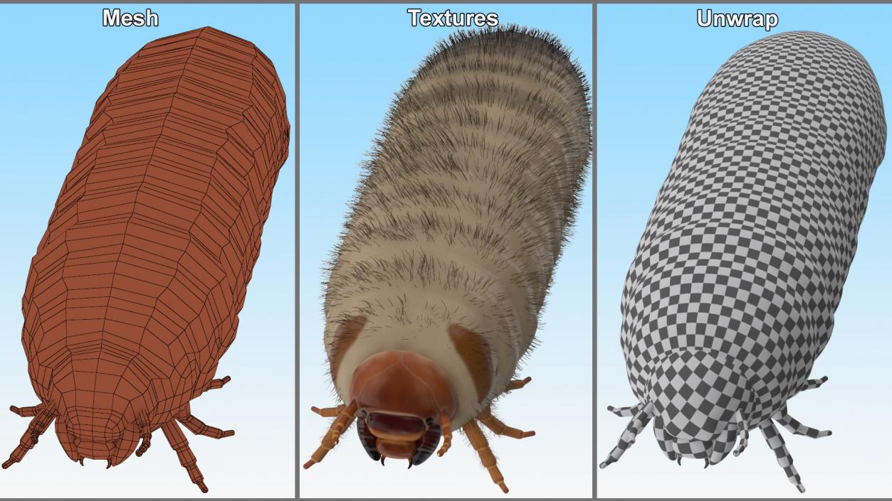 3D Maggot May Bug Fur model