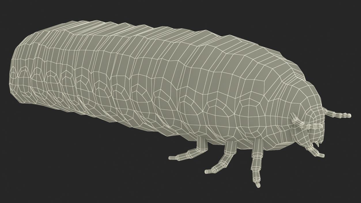 3D Maggot May Bug Fur model