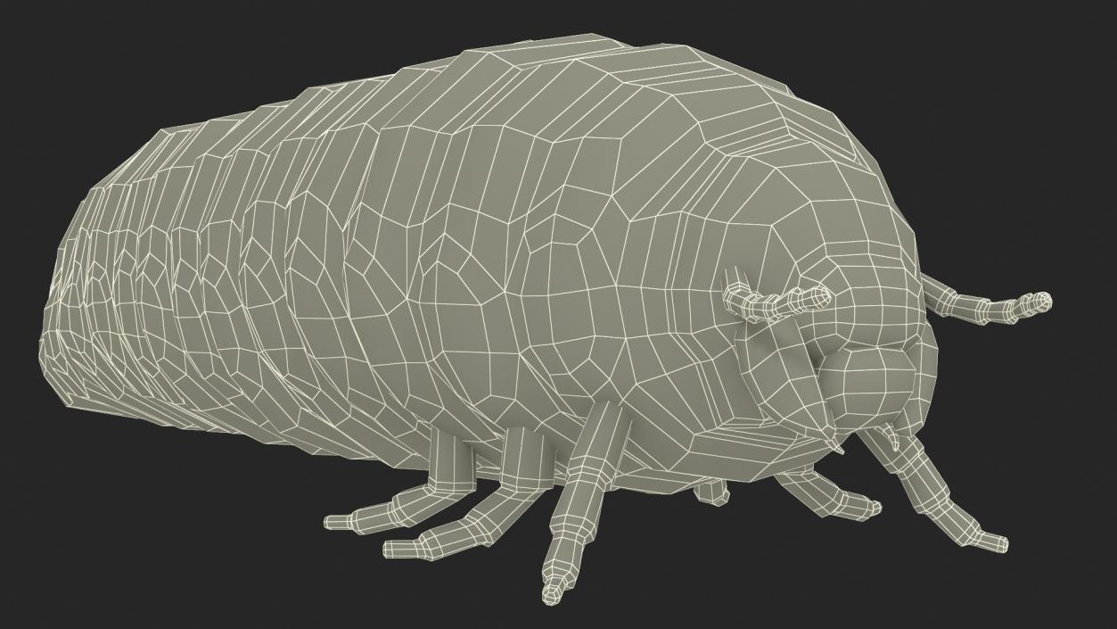 3D Maggot May Bug Fur model