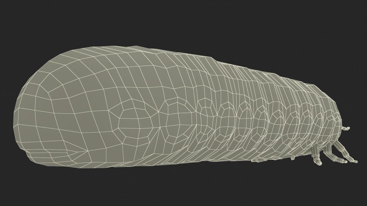 3D Maggot May Bug Fur model