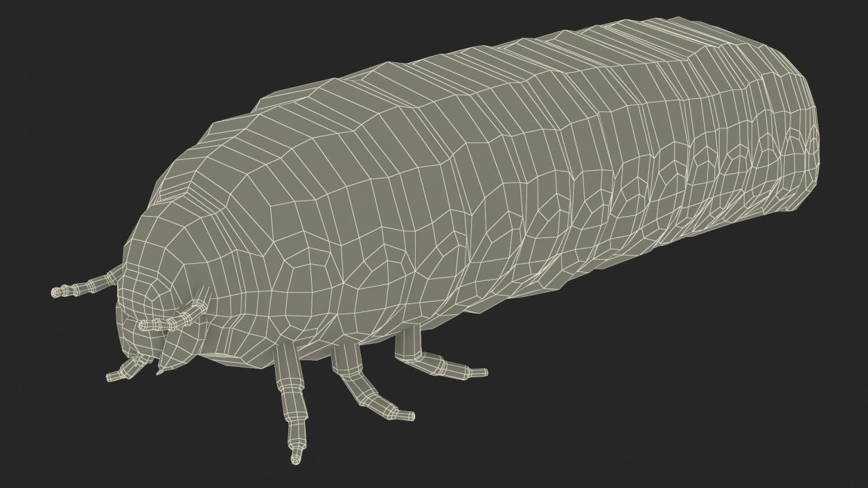 3D Maggot May Bug Fur model