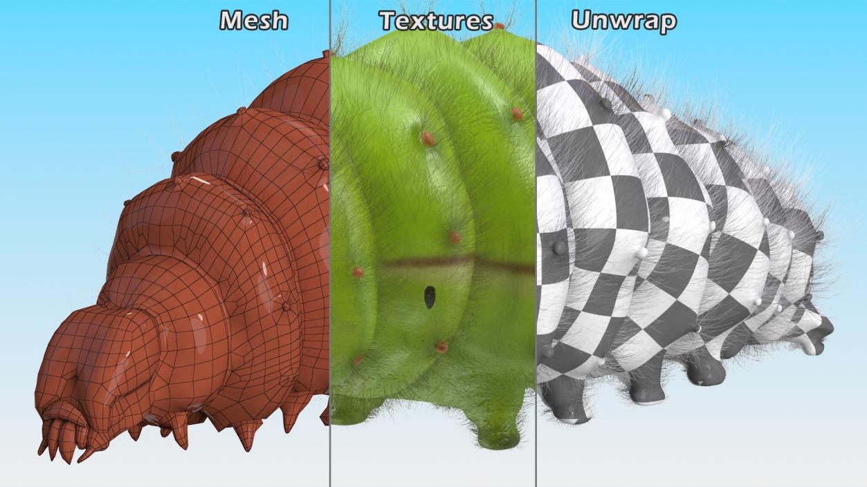 Silkworms Fur Collection 3D model