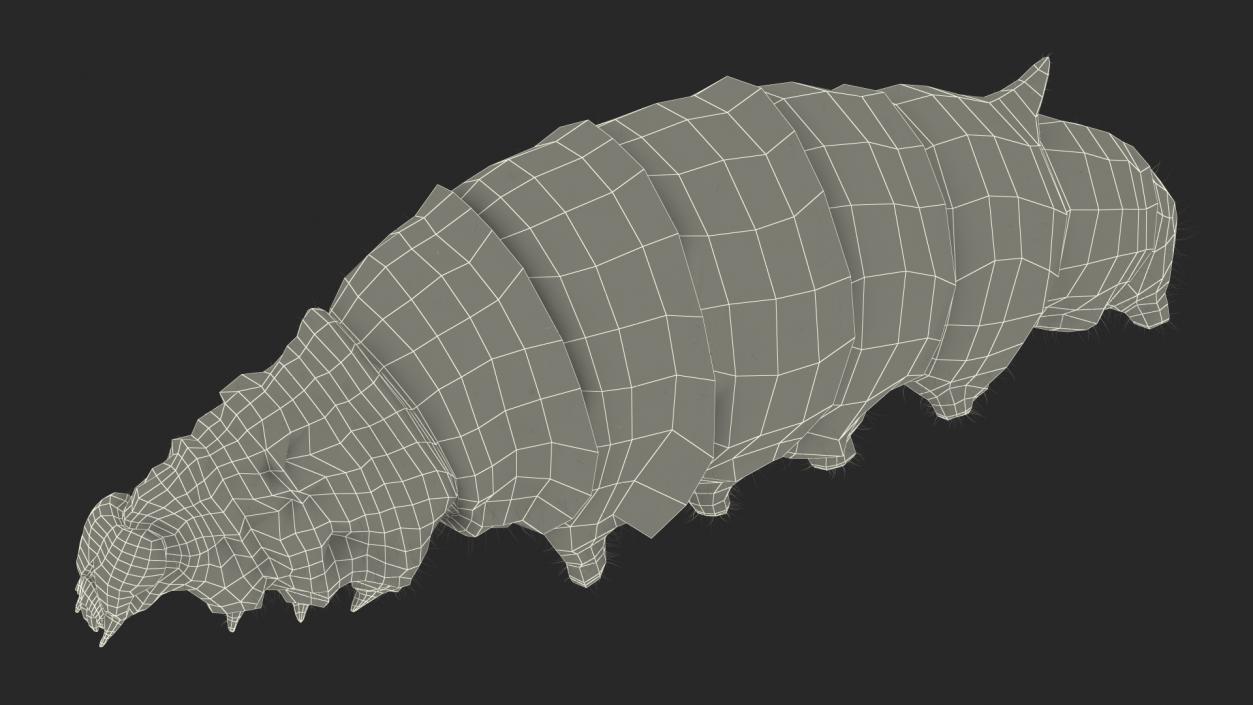 Silkworms Fur Collection 3D model