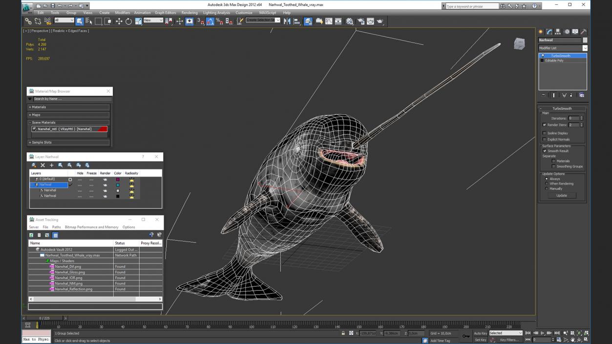 3D Narwhal Toothed Whale