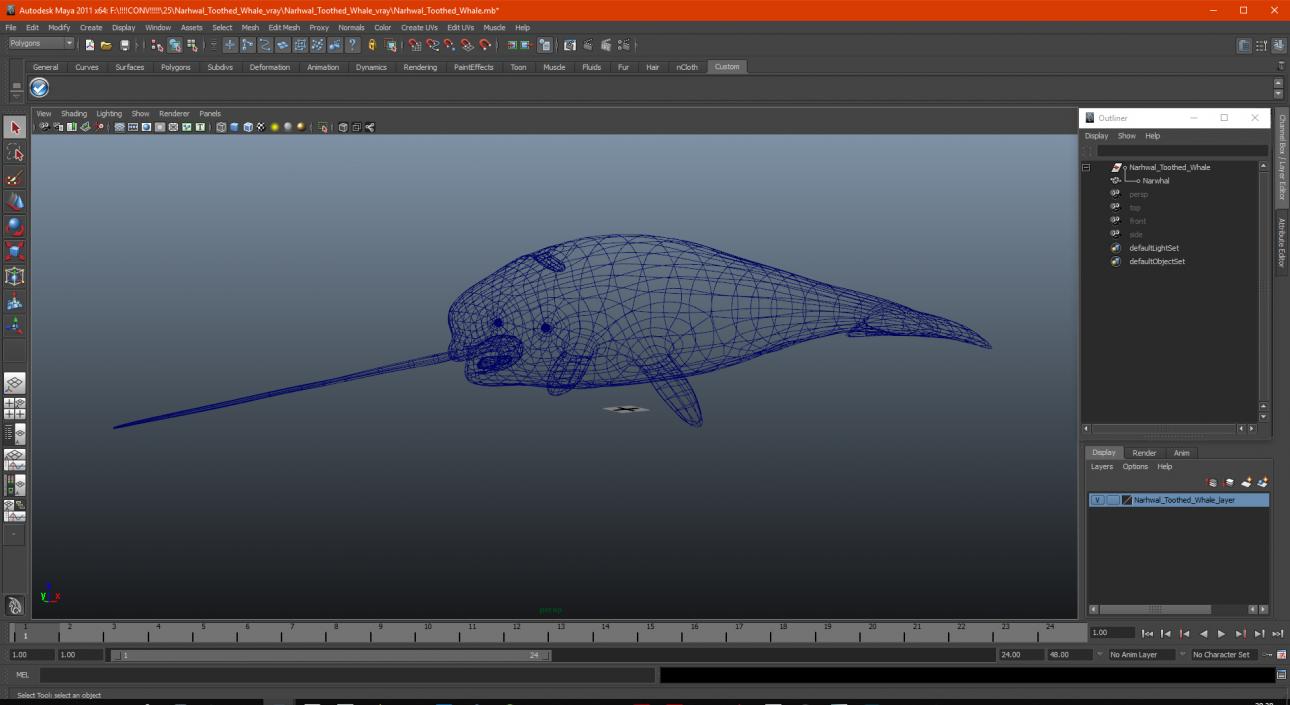 3D Narwhal Toothed Whale