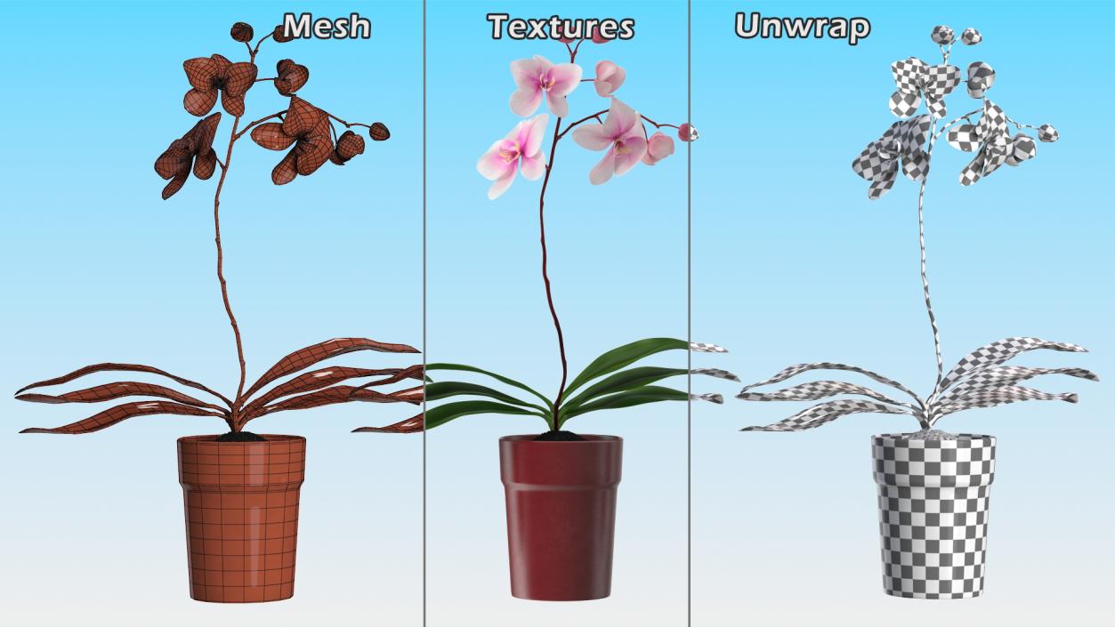 Red Pot Orchid 3D model