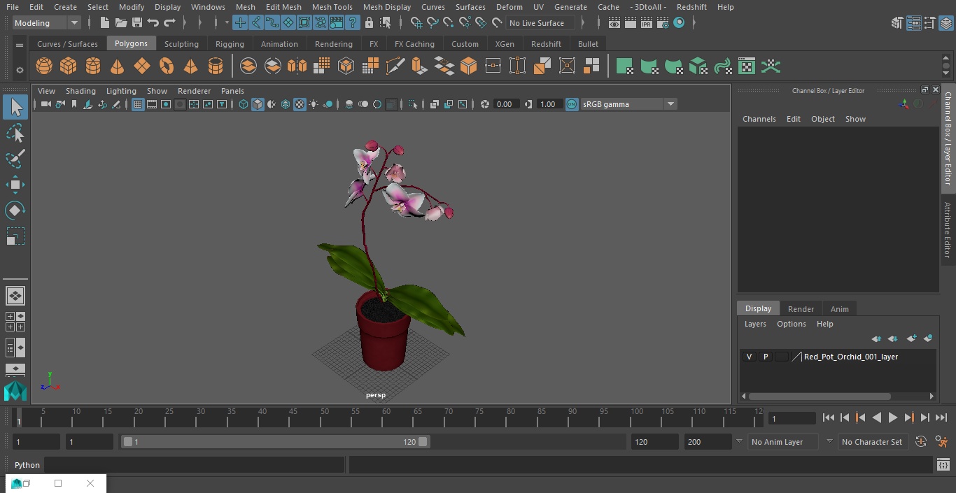 Red Pot Orchid 3D model