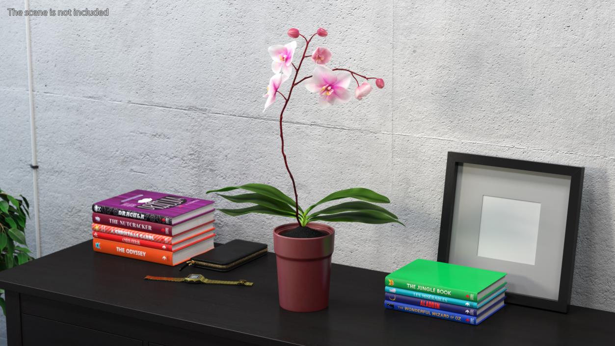 Red Pot Orchid 3D model