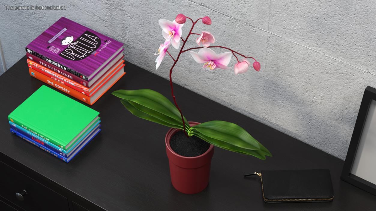 Red Pot Orchid 3D model