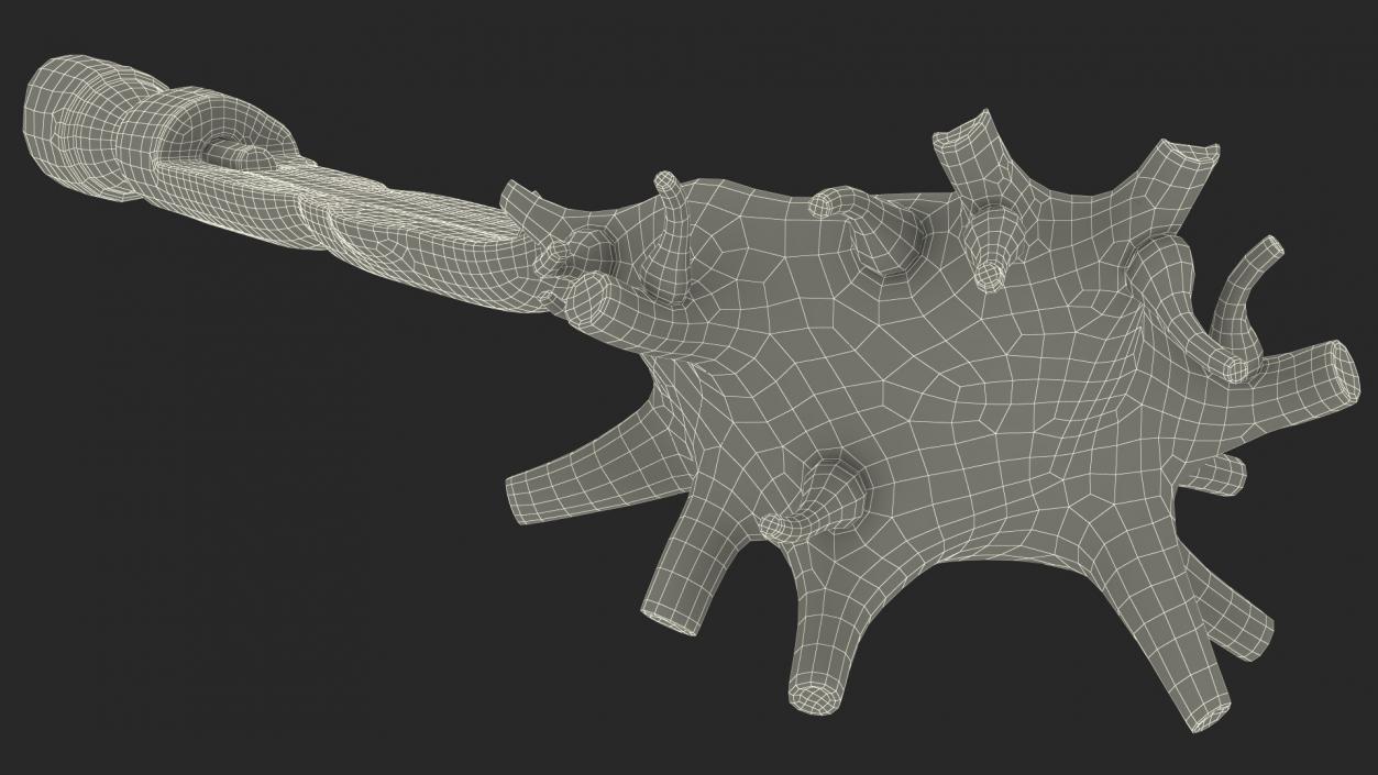 3D model Human Brain Neuron Cross-Section Plastic