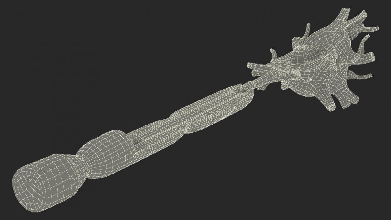 3D model Human Brain Neuron Cross-Section Plastic