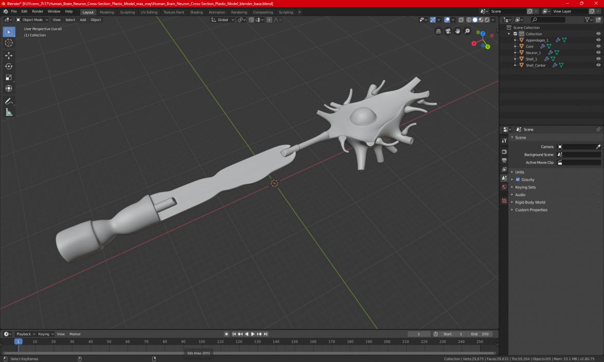 3D model Human Brain Neuron Cross-Section Plastic