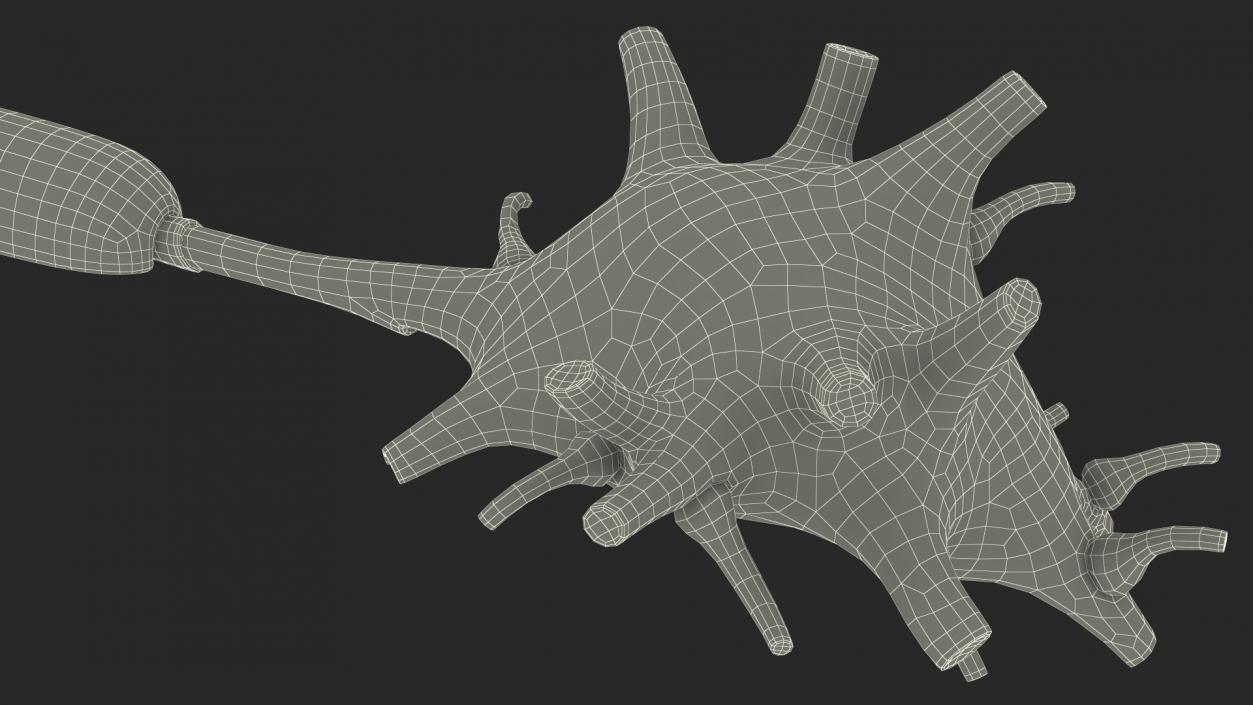 3D model Human Brain Neuron Cross-Section Plastic