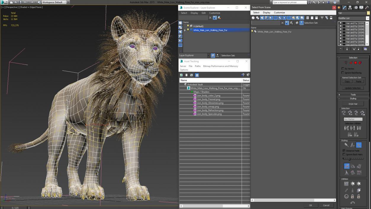 White Male Lion Walking Pose Fur 3D