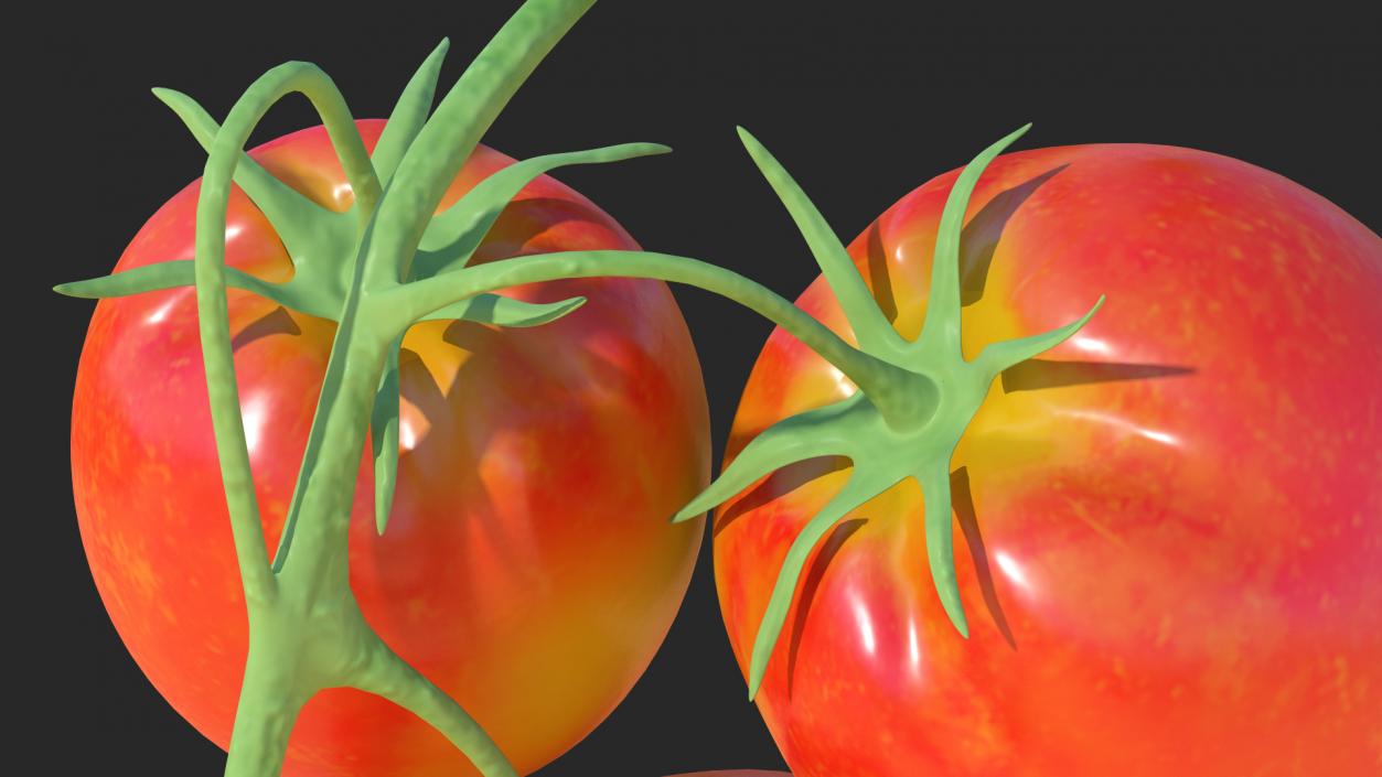 3D Tomato Branch with Red Tomatoes