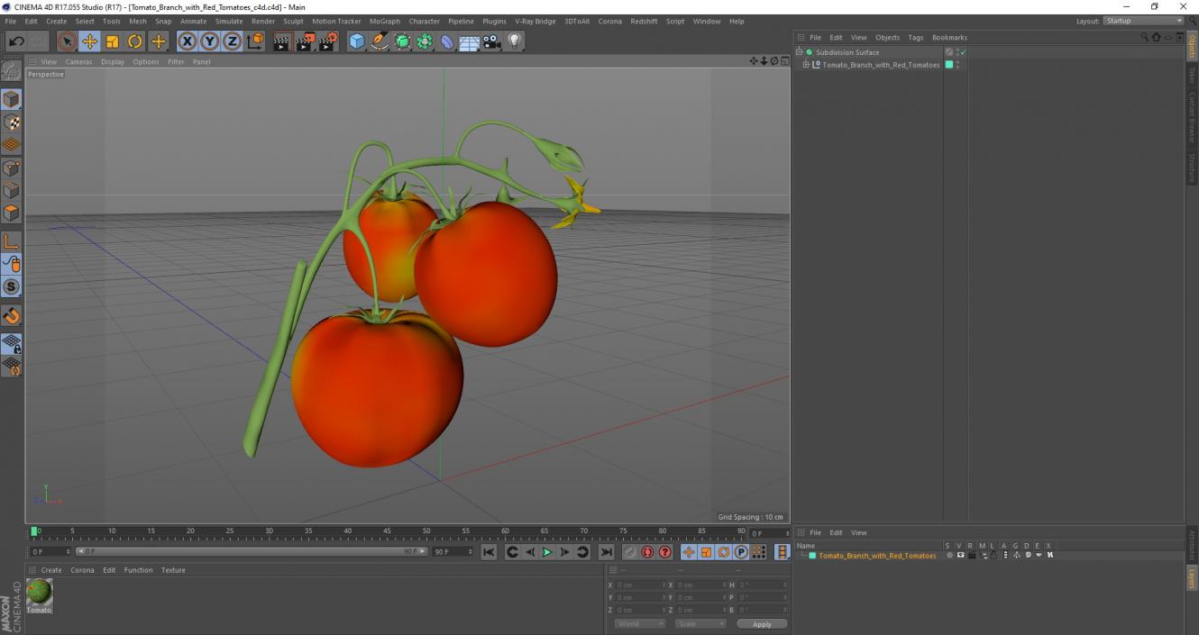 3D Tomato Branch with Red Tomatoes