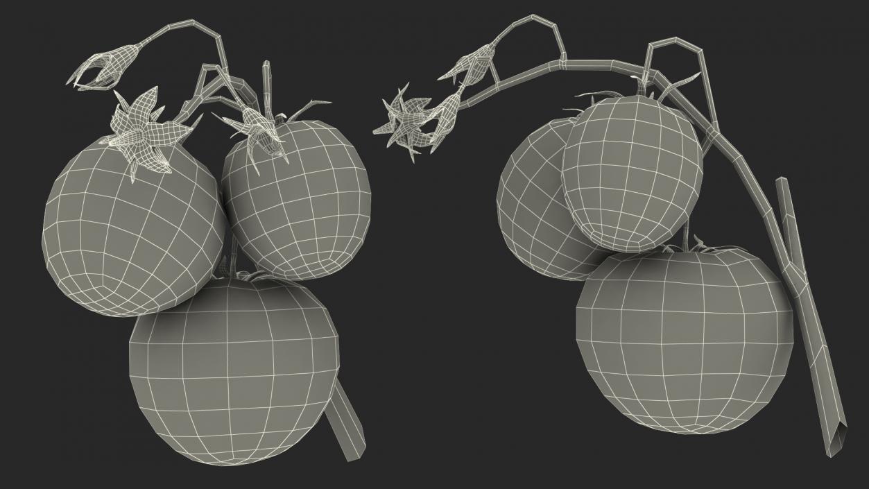 3D Tomato Branch with Red Tomatoes