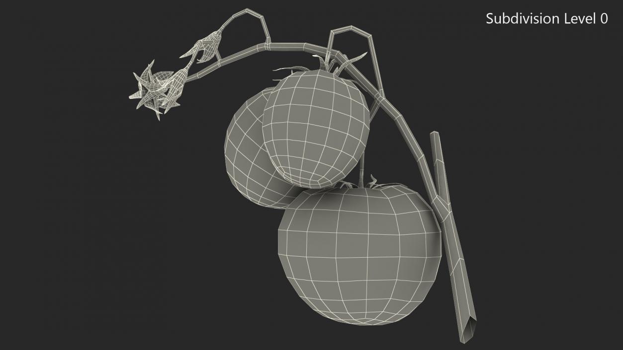 3D Tomato Branch with Red Tomatoes