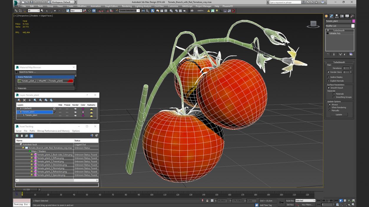 3D Tomato Branch with Red Tomatoes