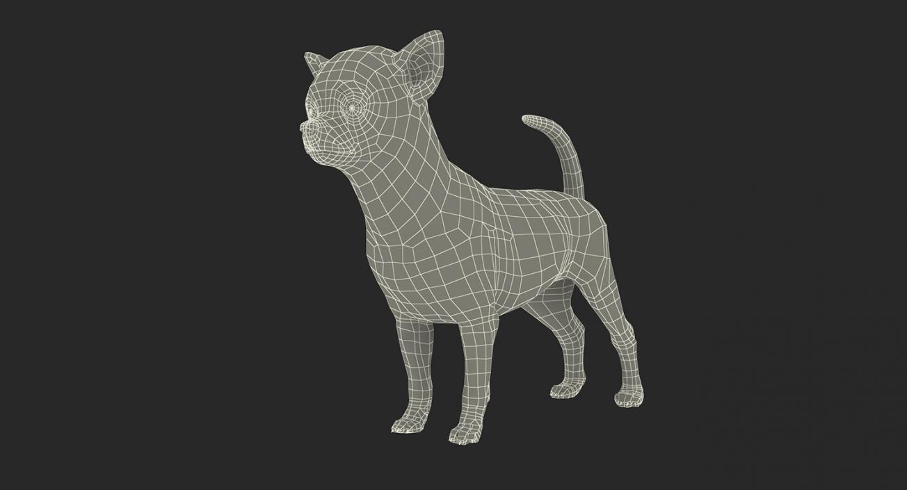 3D model Dogs Collection