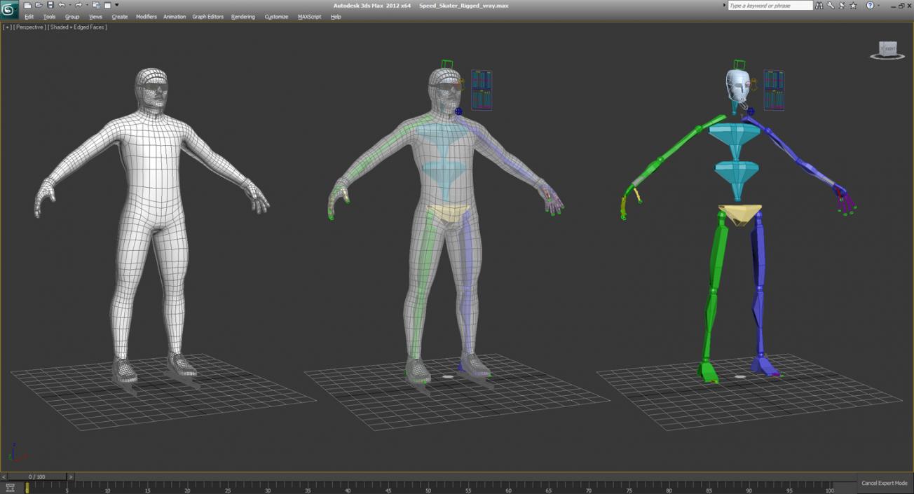 Speed Skater Generic Rigged 3D