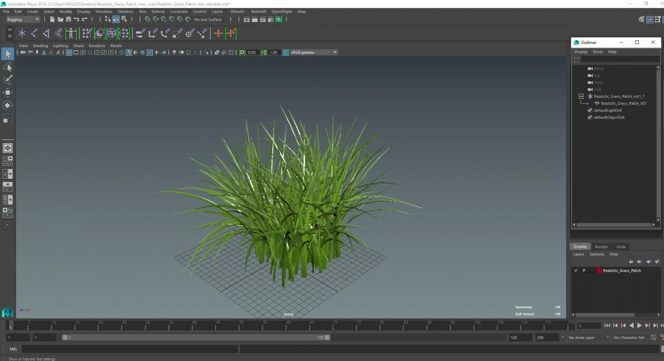 3D Realistic Grass Patch