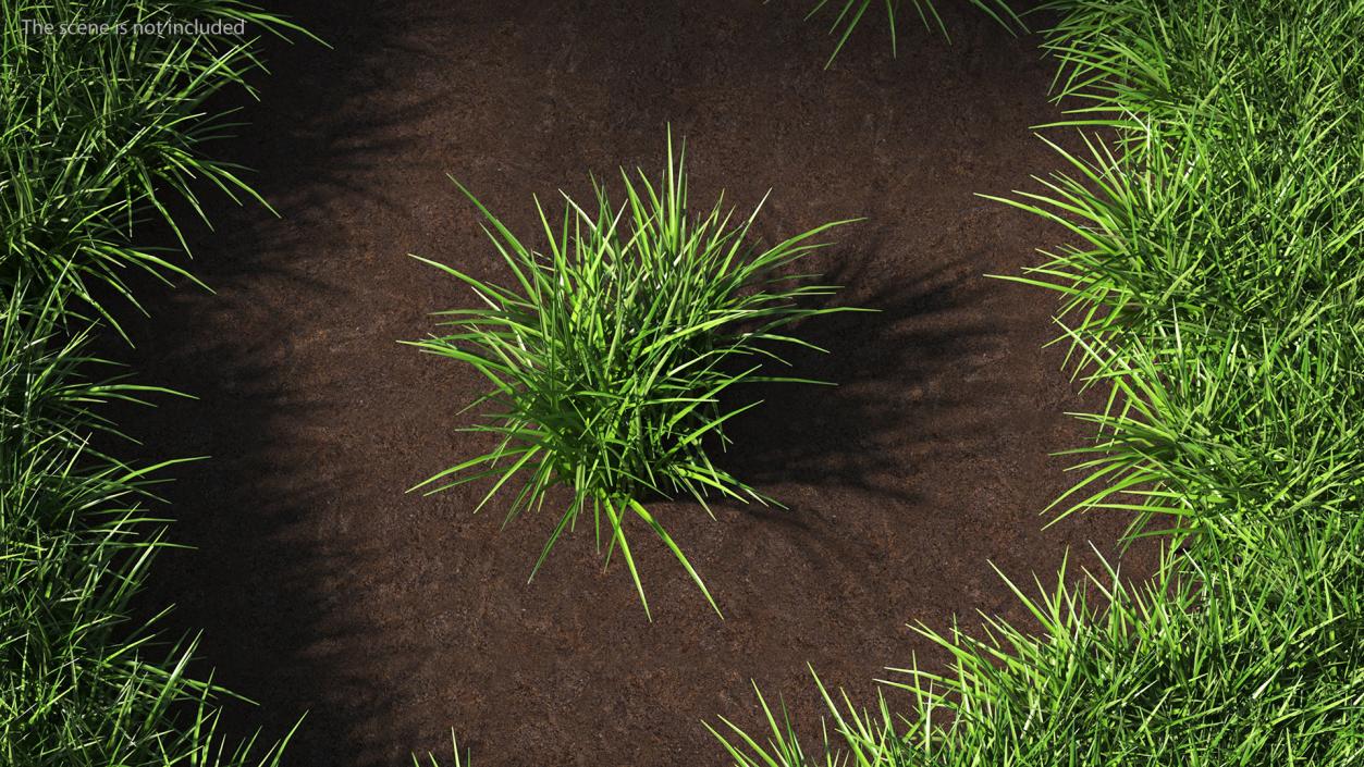 3D Realistic Grass Patch