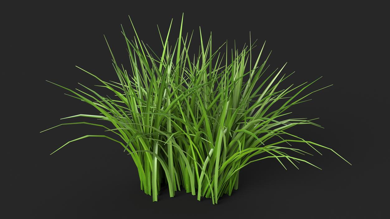 3D Realistic Grass Patch