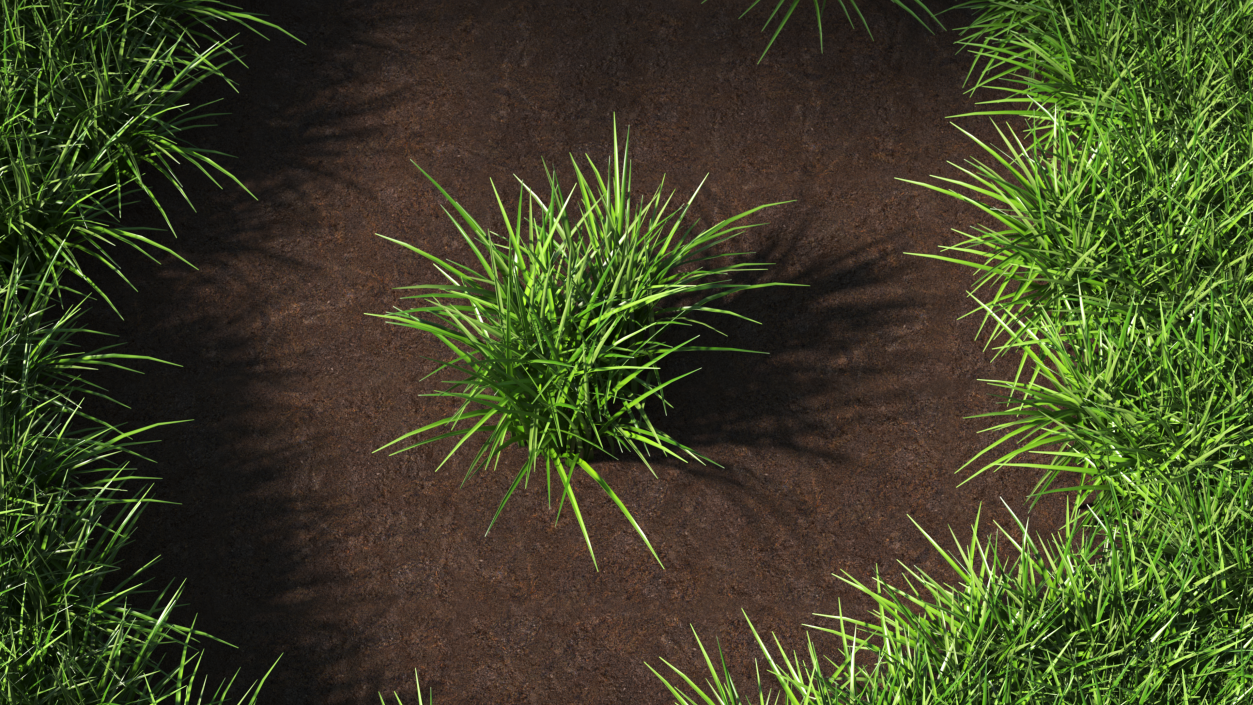 3D Realistic Grass Patch