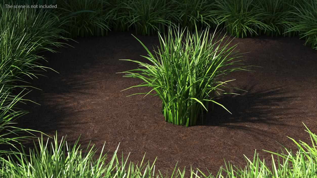 3D Realistic Grass Patch